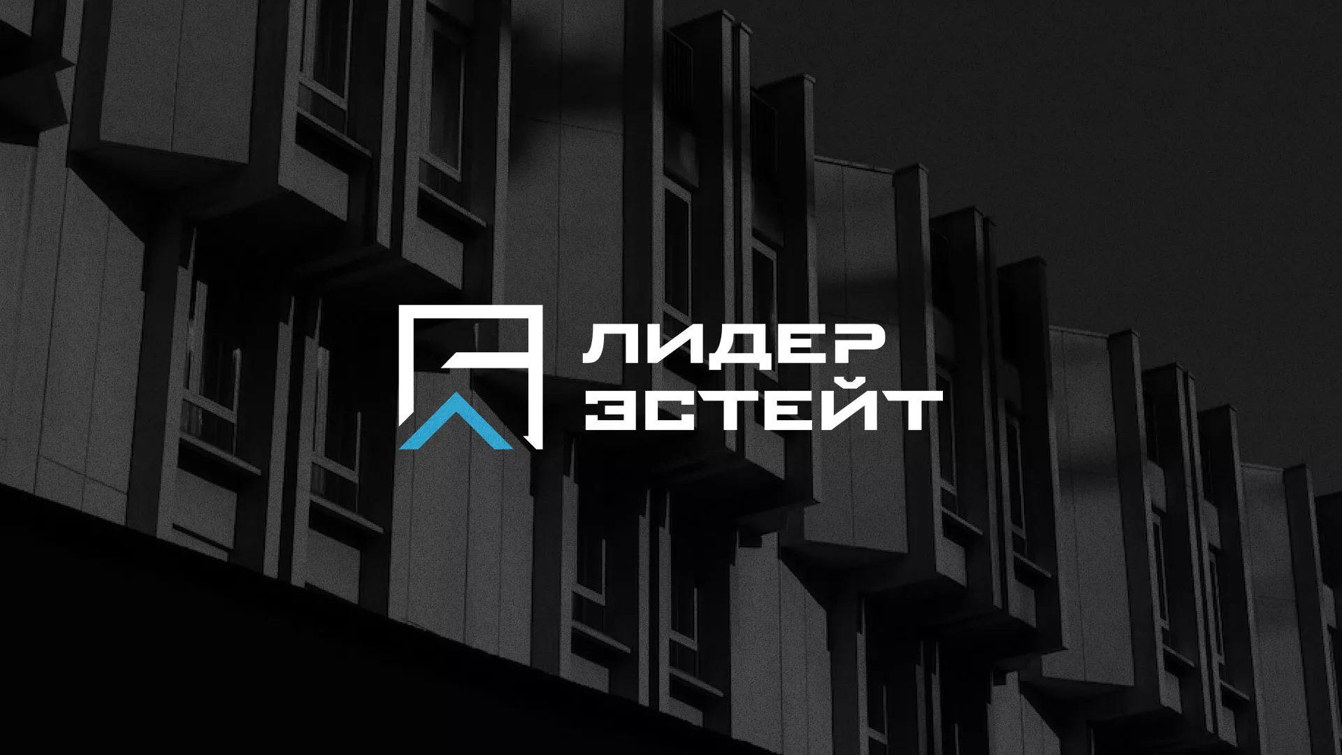 Разработка логотипа агентства недвижимости «Лидер Эстейт» в Краснокамске