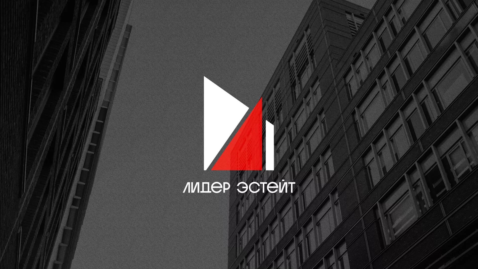 Сделали логотип для агентства недвижимости «Лидер Эстейт» в Краснокамске